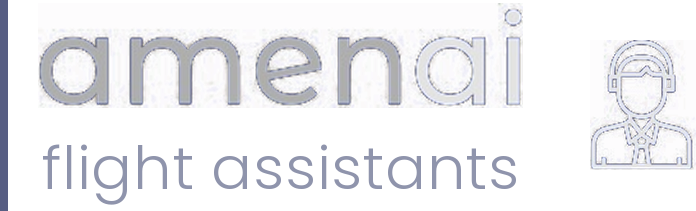 amenai flight assistants